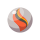 Staraptorita