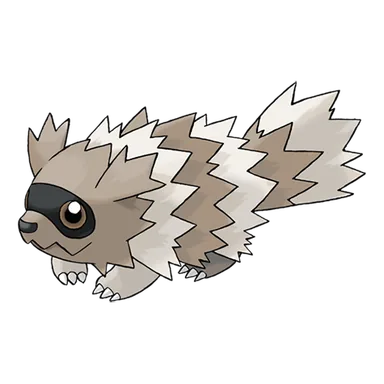 zigzagoon