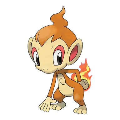 chimchar