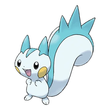 pachirisu